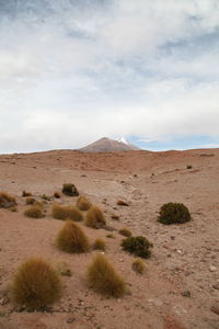 Landscape with mountain range in background