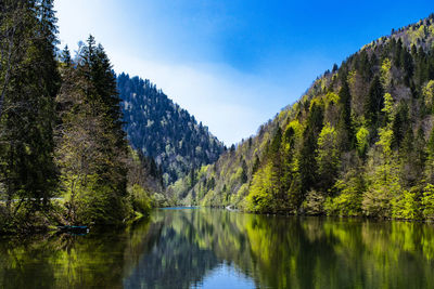 Scenic view of lake by trees against sky