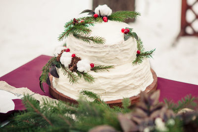 Close-up of cake with twigs and fruits on table