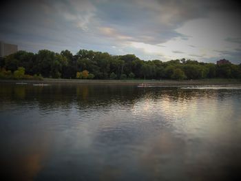 Reflection of trees in water against sky