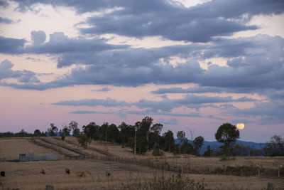 Scenic view of field against sky during sunset