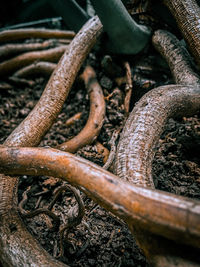 Close-up of rusty metal