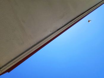 Low angle view of bird flying against clear blue sky