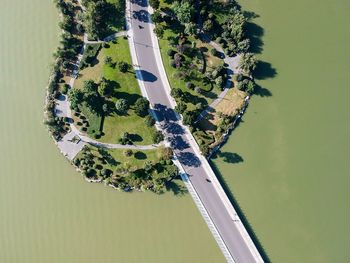 High angle view of palm trees by river