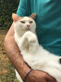 Close-up of hand holding cat