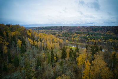 nature