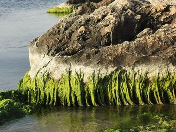 Scenic view of sea