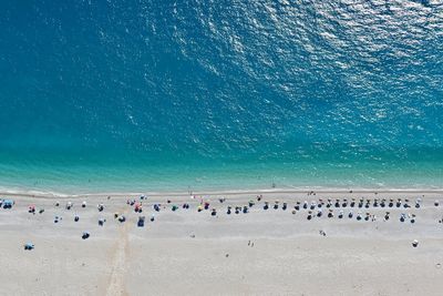 Group of people on the beach