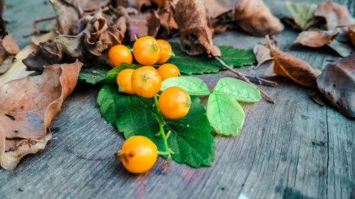 High angle view of fruits and leaves on table