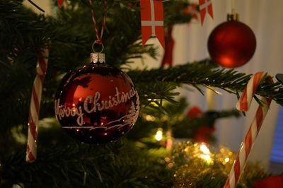 Close-up of christmas decorations hanging on tree