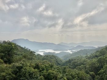 Hill in hong kong