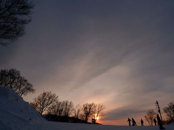 Silhouette of trees at sunset