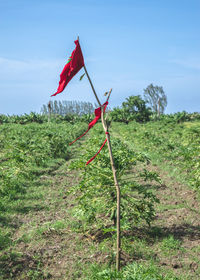 Red flag on field against sky