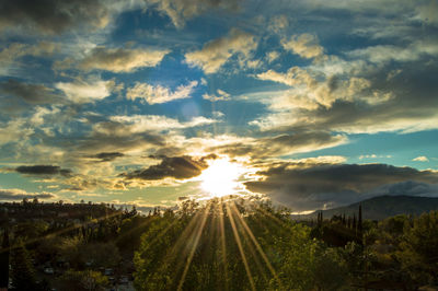 Sunlight streaming through trees on field against sky at sunset