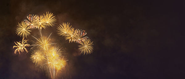 Low angle view of firework display at night