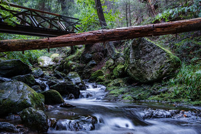 Stream flowing through rocks in forest