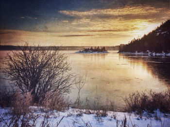 Bare trees on landscape at sunset