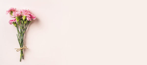 Close-up of pink flower vase against white background