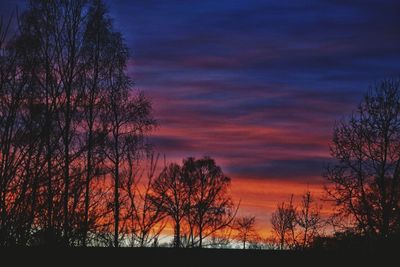 Silhouette bare trees against sky during sunset