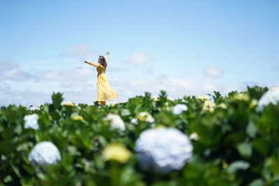 Low angle view of flowering plants on field against sky