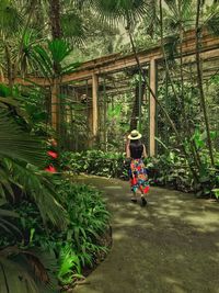 Rear view of man walking by plants