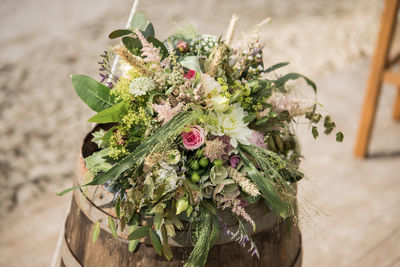 Close-up of potted plant