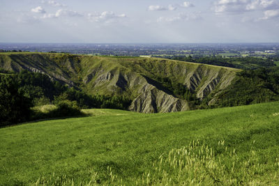 Scenic view of grassy field against sky