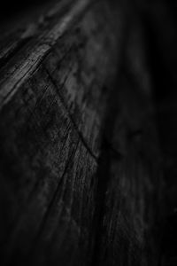 Extreme close up of wooden tree trunk