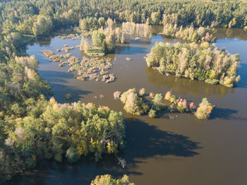 Scenic view of lake and trees