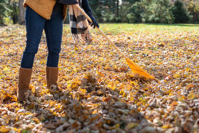 Closeup of woman raking up leaves in backyard in autumn