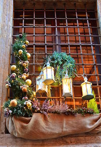 Potted plants against brick wall