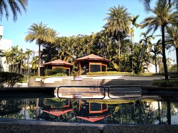 Palm trees by swimming pool against sky