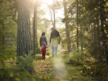 Rear view of man walking in forest