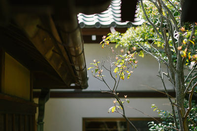 Low angle view of building by house