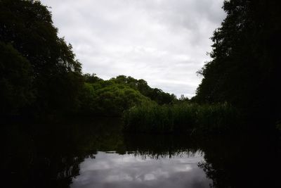 Reflection of trees in lake against sky