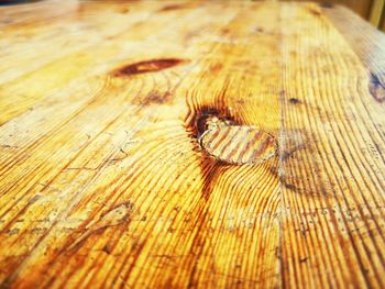 Close-up of insect on wood