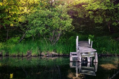 Lifeguard hut against trees