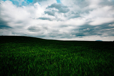 Scenic view of agricultural field against sky