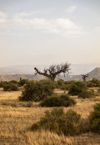 Landscape of tabernas desert in almeria, spain, against sky