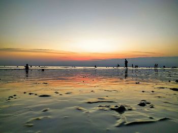 Silhouette of people on beach