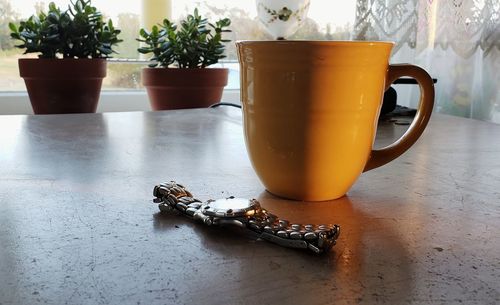 Close-up of potted plant on table