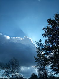 Low angle view of tree mountain against sky