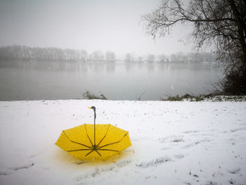 Yellow umbrella and white snow