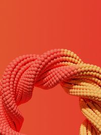 Close-up of ropes