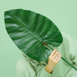 Close-up of hands over green background