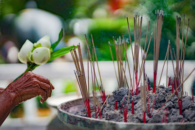 Cropped hand by burning incenses at temple