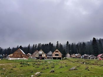 Houses and trees on field against sky