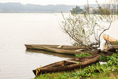 Scenic view of lake