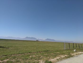 Scenic view of field against clear blue sky