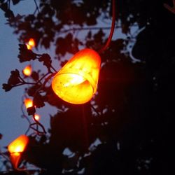 Close-up of illuminated lights